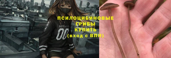 а пвп мука Вяземский