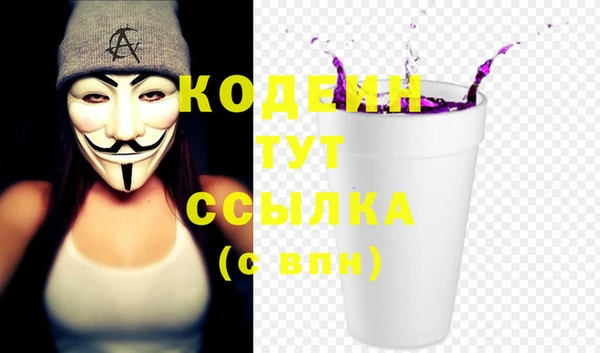 дмт Бородино