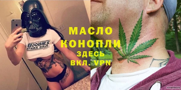 дмт Бородино