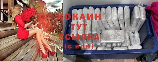 дмт Бородино