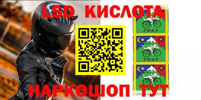 прущие грибы Пенза