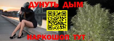 прущие грибы Пенза