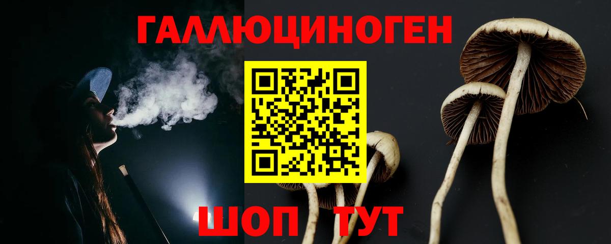 закладки  Вход с VPN  Семилуки  Галлюциногенные грибы прущие грибы 