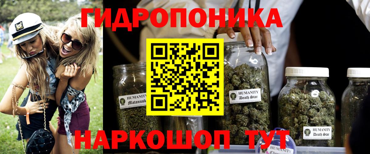 Бошки марихуана THC 21%  Конопля план  Вход с VPN  Семилуки 